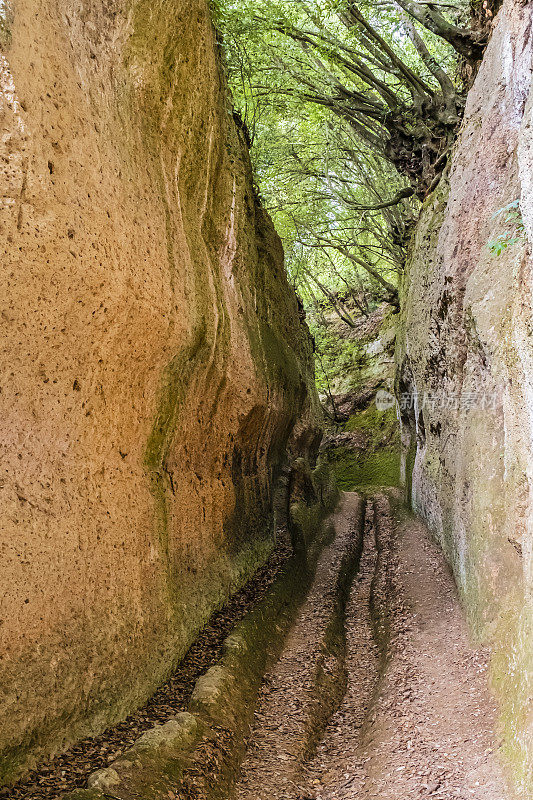 皮蒂利亚诺托斯卡纳的Vie Cave